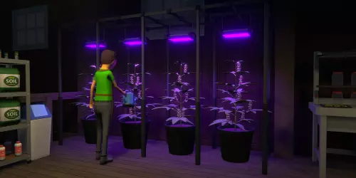 Расписание 1 Обозначает Новый Период Выхода Ожидаемого Обновления Cartel